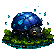 Rain Beetle