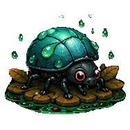 Rain Beetle