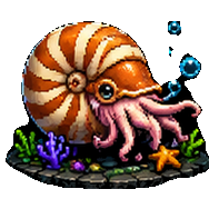 Chambered Nautilus