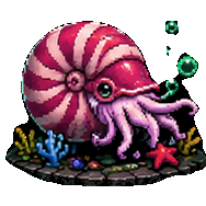 Chambered Nautilus