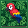 Parrot